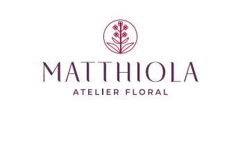 Matthiola Atelier Floral