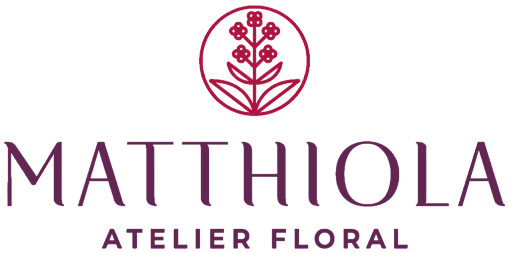 Matthiola Atelier Floral